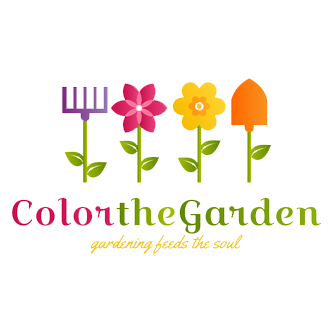 Jardin Caché Promos Boutique